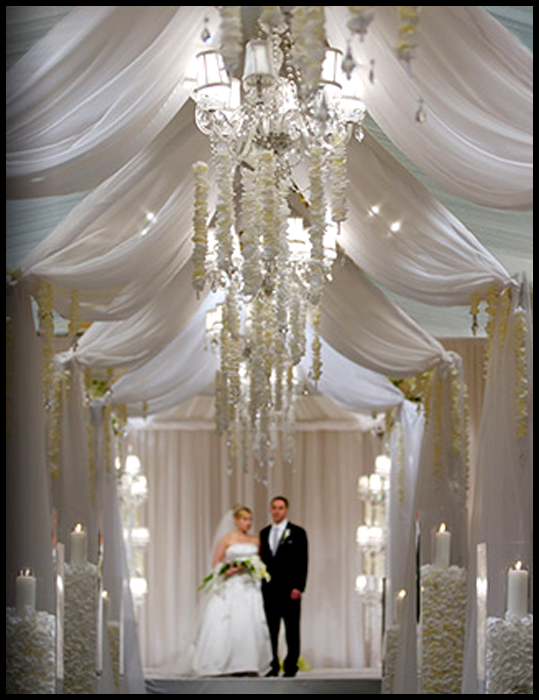 The Bling wedding had bright colors and a fabulous dance floor