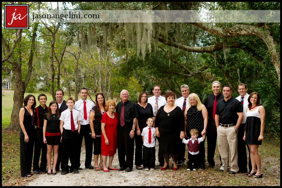 CFfamily1210