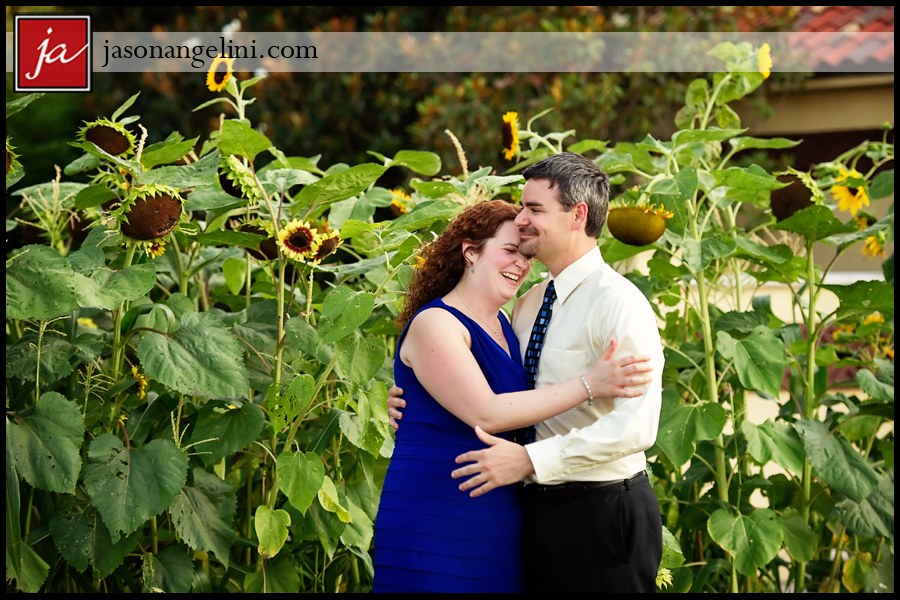 CBEsunflowers0512