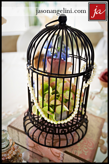 RSWrsmallcage0612