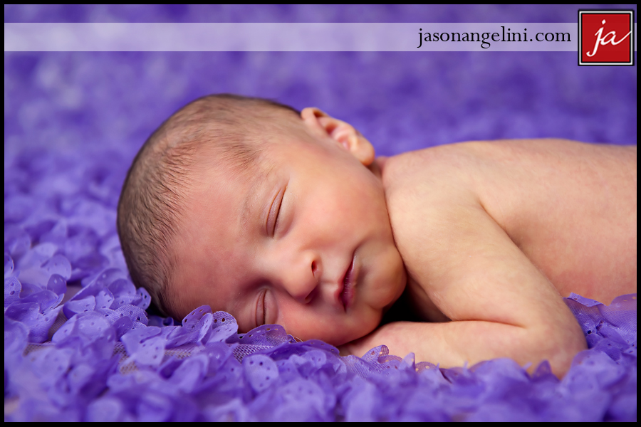 ENrpurple0912