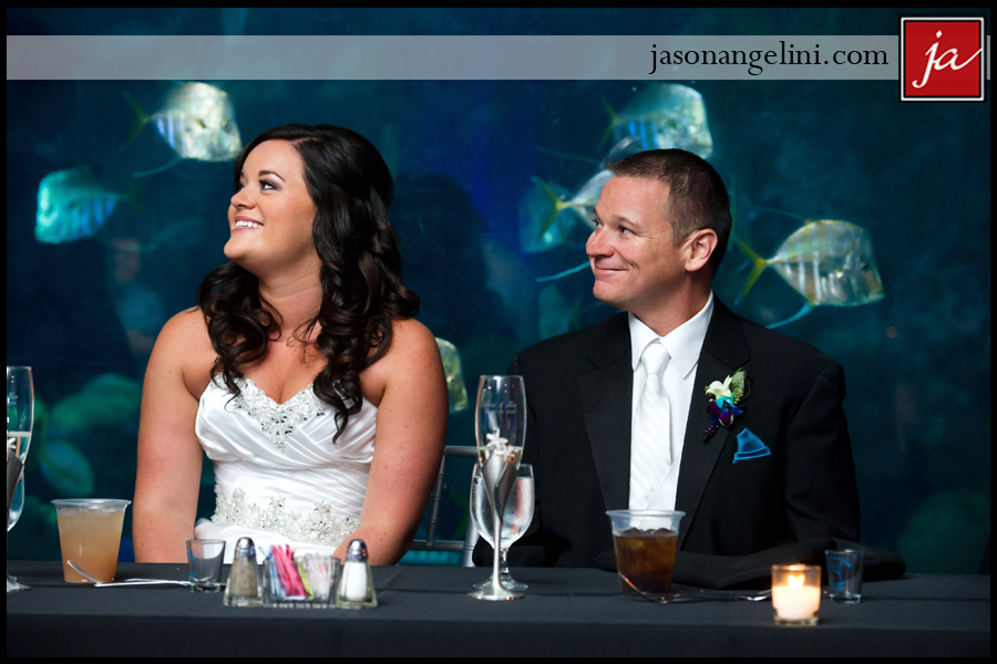 HBWed0814