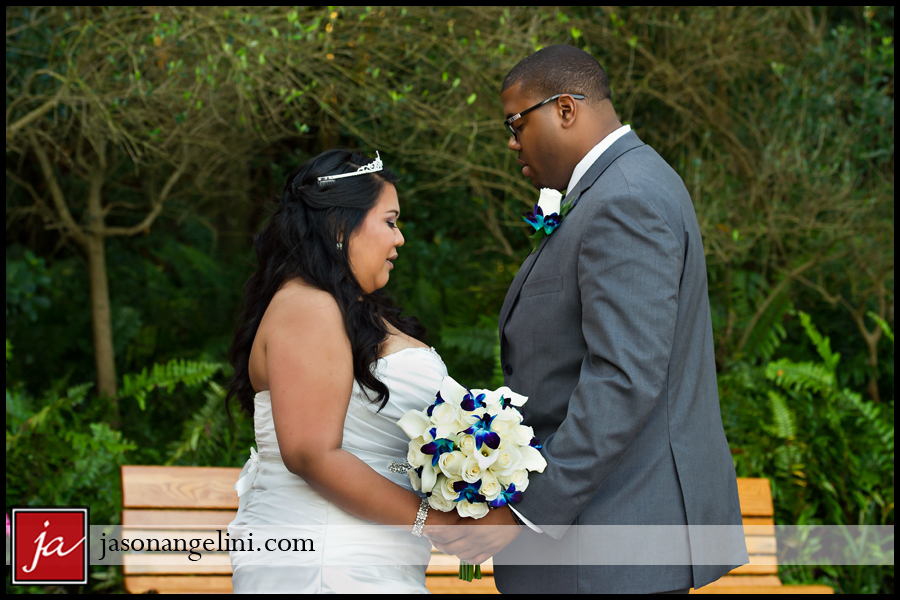 CCWaf0215