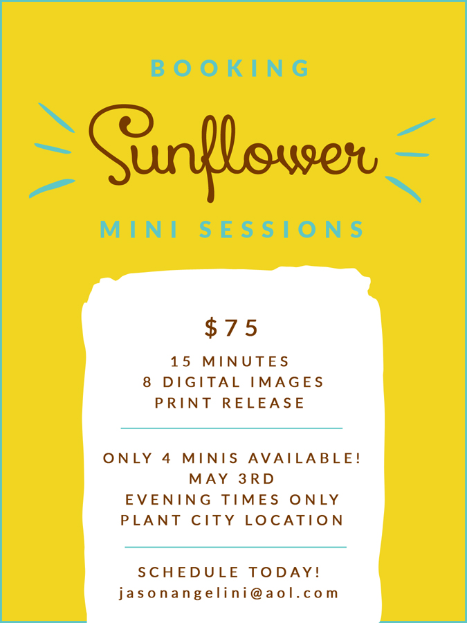 sunflowerminis