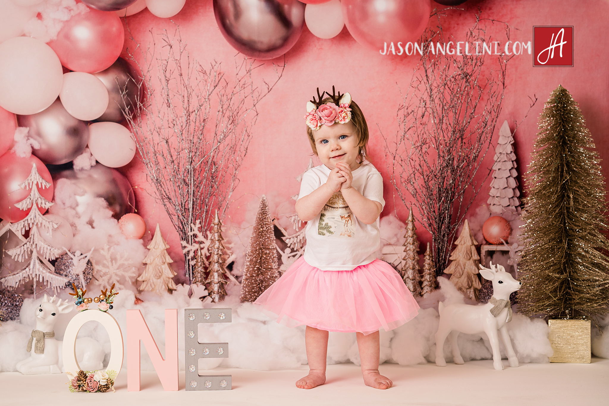 OneDeerful First Birthday Session and Cake Smash