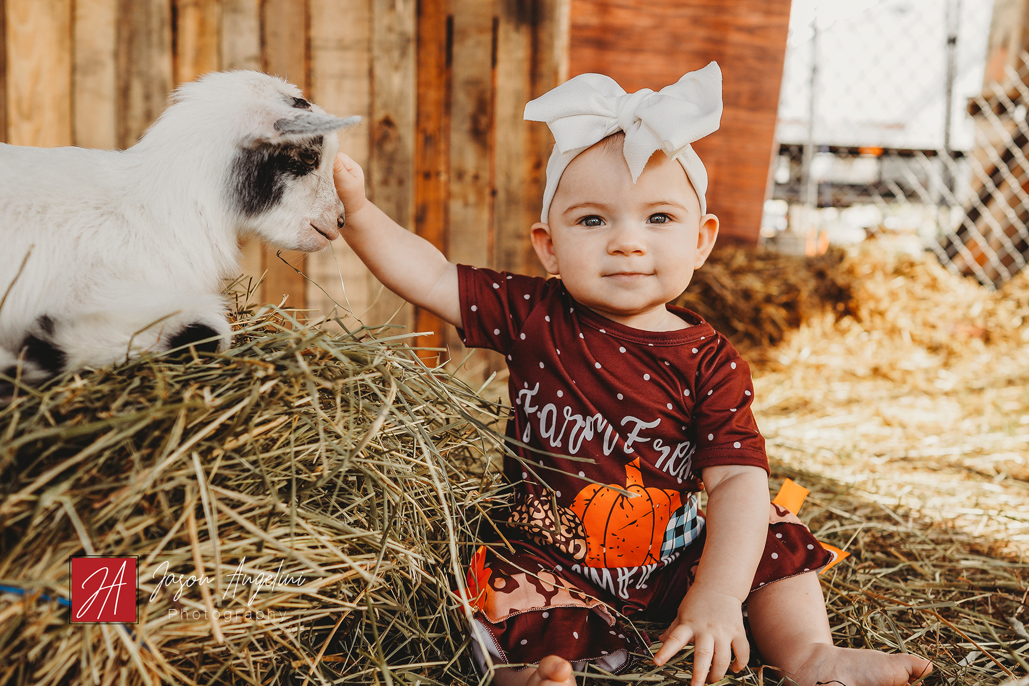 Pumpkin Patch Sitter Session with Lauren and Tommy’s Daughter