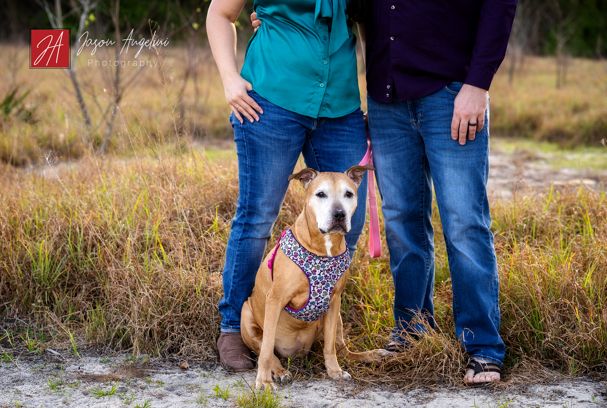Katie, Joey, and Honey